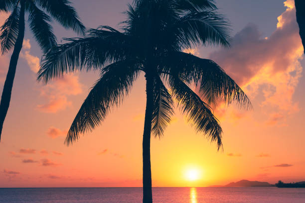 istock Beautiful sunset in Hawaii. 1674394505