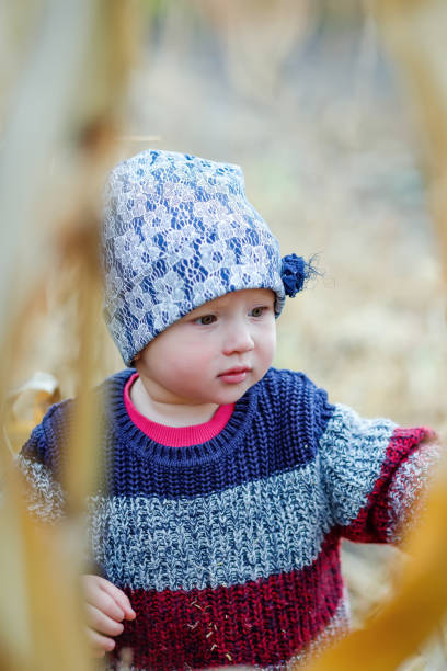 schönes baby in warmem, stilvollem pullover, der mitten im maisfeld steht. erntezeit. ökologischer landbau für kinder. nettes kind an einem nebligen herbstabend im freien. glückliches kindertag-konzept - child vegetable squash corn stock-fotos und bilder