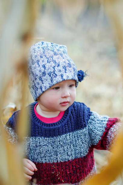 옥수수 밭 한가운데에 서 있는 따뜻하고 세련된 스웨터를 입은 아름다운 아기. 수확 시간. 어린이를위한 유기 농업. 안개 낀 가을 저녁에 야외에서 귀여운 아이. 행복한 어린이 날 개념 - child vegetable squash corn 뉴스 사진 이미지