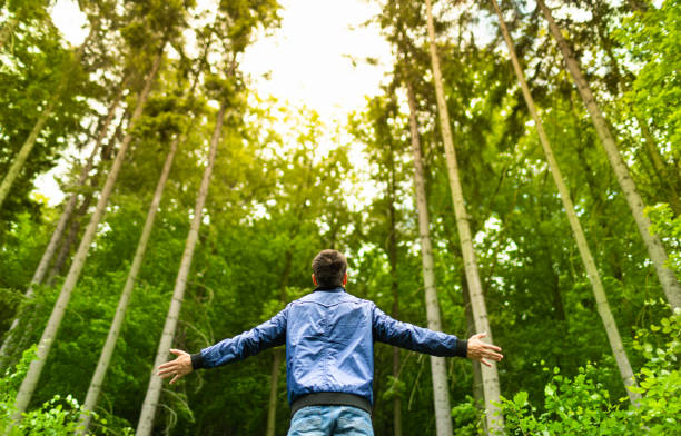 Glückliche Männer, die sich frei fühlen, wenn sie zu den Bäumen im Wald hinaufschauen. – Foto