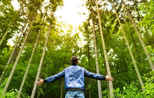 Happy man feeling free looking up to the trees in a green nature forest setting with arms outstretched