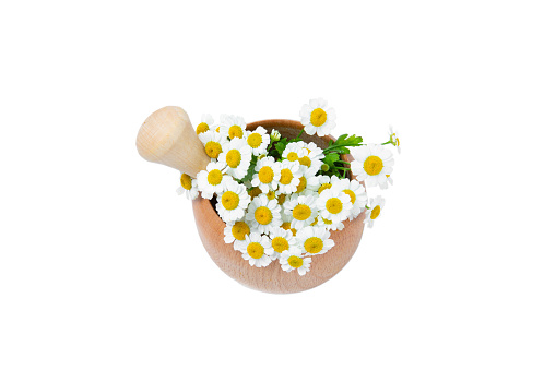 Mortar with medicinal herbs. Mortar with chamomile isolated on white background. Medicinal herbs. Alternative medicine. Design. Collage.