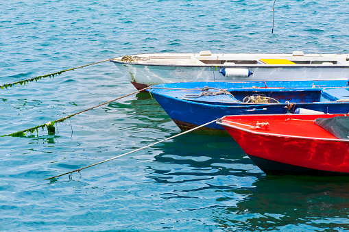 Fishing multi colored rowboats moored in Carril harbor,  ría de Arousa, Vilagarcía de Arousa, Pontevedra province, Rías Baixas, Galicia, Spain.  Image suitable for backgrounds.