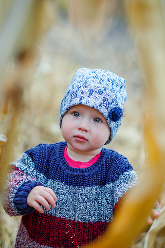 Portrait of a toddler child looking up through ripe corn on the field. Harvest time. organic agriculture for children. Cute child on a foggy autumn evening outdoor. Happy children day concept