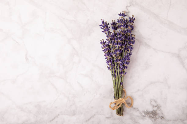 istock Lavender flowers on a  background. Fragrant bouquet. Flat composition. Flatley. Place for text, Place for copy. MOCAP 1674415545