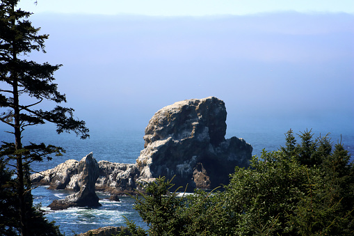 Color Landscape photograph of the blue Pacific Ocean with thick fog and sea stack rock formations in the water and green trees in the foreground on an Oregon beach.