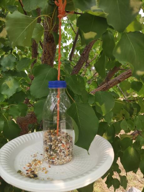 istock Bird food hanging on a tree 1674443214