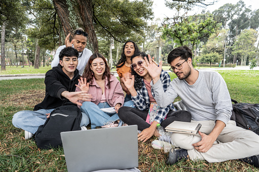 Young university students doing a video call on the public park