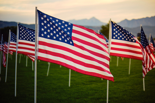 A large group of American Flags blowing at sunrise.