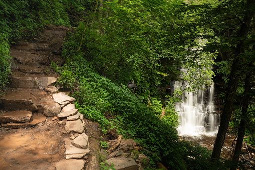 Ricketts Glen is one of the most scenic places in Pennsylvania. The large park comprised of 13,193 acres has 22 beautiful waterfalls