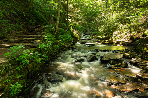 Ricketts Glen is one of the most scenic places in Pennsylvania. The large park comprised of 13,193 acres has 22 beautiful waterfalls