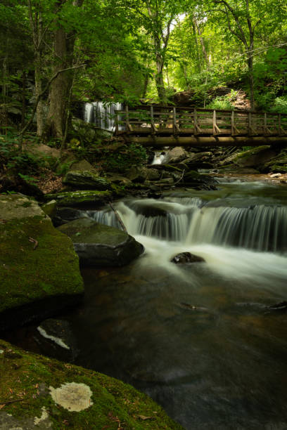 istock Majestic waterfall in Ricketts Glen, Pennsylvania 1674466633