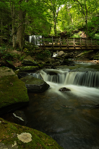 Ricketts Glen is one of the most scenic places in Pennsylvania. The large park comprised of 13,193 acres has 22 beautiful waterfalls