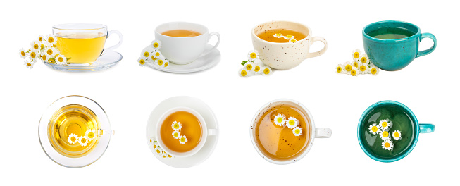 Chamomile herbal tea with flower buds and chamomile bouquet isolated on white background. Useful herbal, soothing drinks and natural healer concept. Immunity tea.Close up. Copy space.