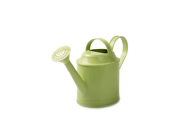 istock Green watering can for watering plants isolated on white background. 1674473793