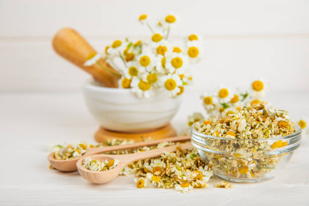 istock Dry chamomile flowers on a wooden table. Soothing chamomile tea. Herbal drink. flat layout. Space for text.Copy space.Medical prevention and immune concept. Folk alternative medicine. 1674485509