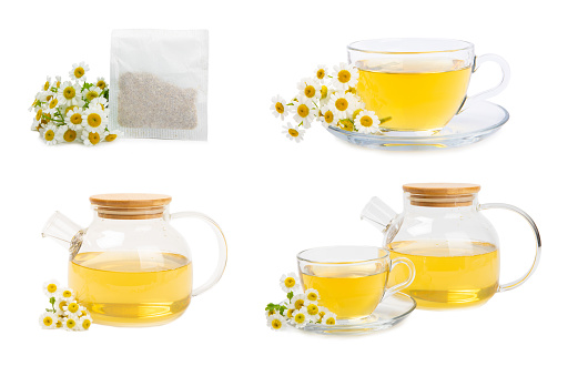 Chamomile herbal tea with flower buds and chamomile bouquet isolated on white background. Useful herbal, soothing drinks and natural healer concept. Immunity tea.Close up. Copy space.