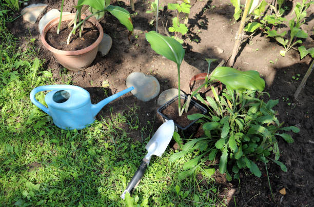 macetas con flores, regadera y pala en el jardín de verano - trowel watering can dirt shovel fotografías e imágenes de stock