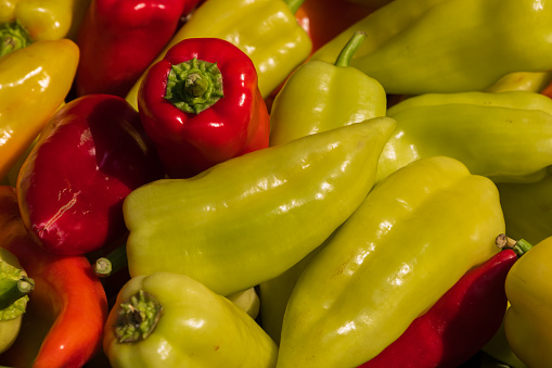 Healthy vegetables. Sweet colorful bell pepper on the market counter for sale.