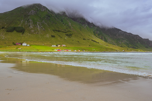 This horizontal landscape photograph offers a compelling view from Refviksanden Beach, located close to Maloy, Norway. The light-colored, wet sand sets the stage for turquoise waves that mirror a steep mountain adorned with rustic wooden houses. These homes are nestled within rich green pastures, and the mountain's peak disappears into morning clouds. The image is taken on a cloudy summer morning, highlighting the natural beauty of this Norwegian coastal scene.