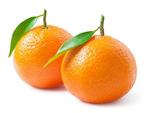 Tangerines or clementines with green leaf on white background. Package design element