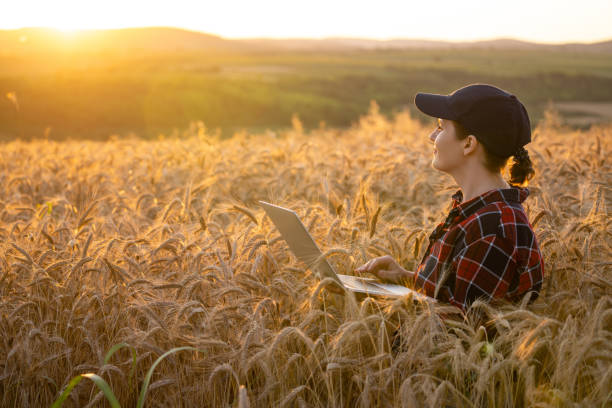 istock Woman farmer working with laptop on wheat field. 1674501888