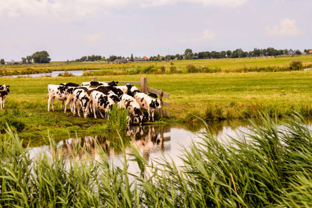 istock European natural countryside 1674510273