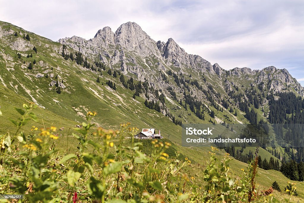 alpine Capanna in austria, Alto Adige-Lechaschauer Alm - Foto stock royalty-free di Albero