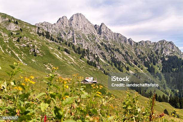 Alpine Capanna In Austria Alto Adigelechaschauer Alm - Fotografie stock e altre immagini di Albero