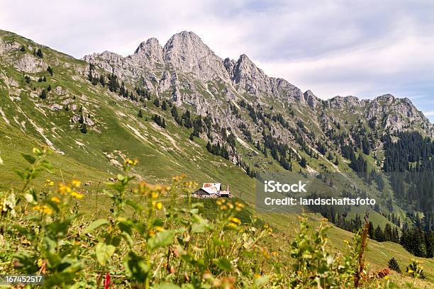 高山の山小屋でオーストリアチロルlechaschauer Alm - オーストリアのストックフォトや画像を多数ご用意 - オーストリア, ツークシュピッツェ, ハイキング