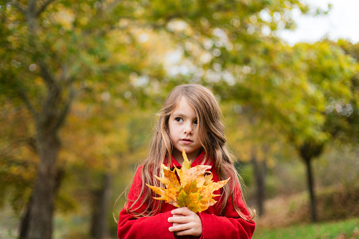 Serious  girl holding bunch of dry autumn leafs in the park