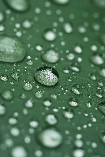 close-up beautiful leaf with drops