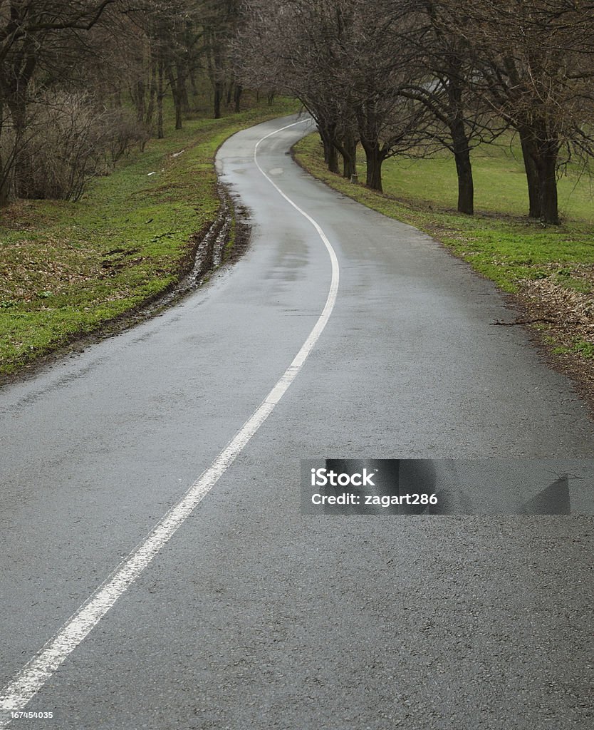 Curvy road - Foto de stock de Campo royalty-free