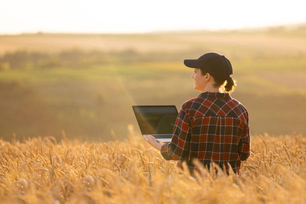 istock Woman farmer working with laptop on wheat field. 1674550991