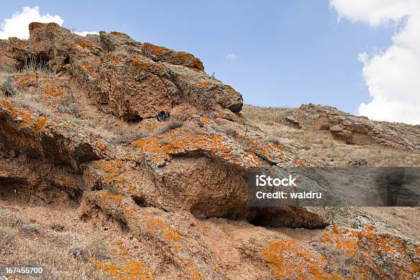 Montagne Primo Piano - Fotografie stock e altre immagini di Ambientazione esterna - Ambientazione esterna, Ambientazione tranquilla, Area selvatica