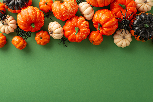 Spooktacular Halloween ambiance brought to life! From spiderweb to creepy crawlies, this top view snapshot features thematic decor with small pumpkins on a green backdrop. Perfect for greetings or ads