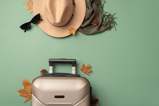 Vintage autumn allure: Top-down view of a retro-inspired fall outfit with a cloche hat, cat-eye sunglasses, plaid shawl, suitcase, autumn foliage, and pine cones on muted green background