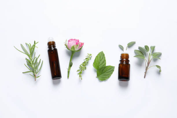 istock Bottles of essential oils, different herbs and rose flower on white background, flat lay 1674570419