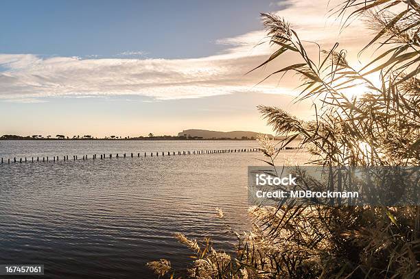 Die Golden Zeit Stockfoto und mehr Bilder von Salztonebene - Salztonebene, Cagliari, Sardinien