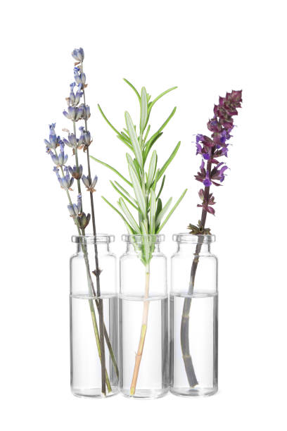 istock Bottles with essential oils and plants isolated on white 1674572614