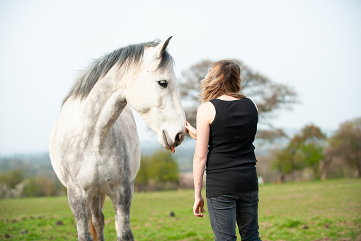Pretty blonde haired teenage girl stands in countryside stroking her beautiful grey horse  and sharing an emotional moment together.