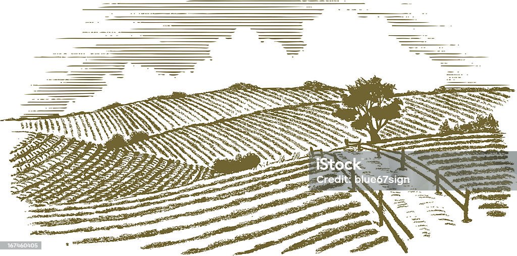 Гравюра на дереве в сельской местности - Векторная графика Ферма роялти-фри