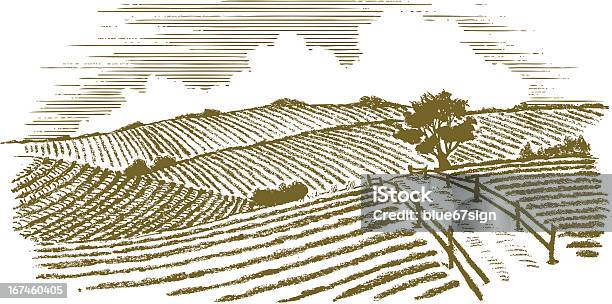 Гравюра На Дереве В Сельской Местности — стоковая векторная графика и другие изображения на тему Ферма - Ферма, Поле, Ландшафт