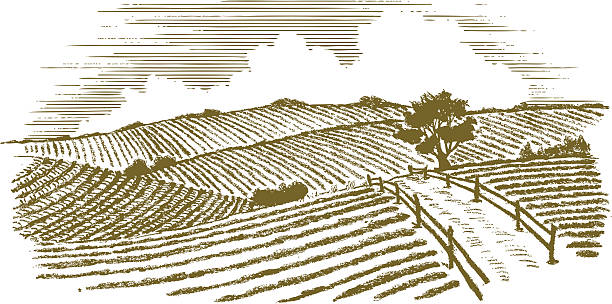 Woodcut style illustration of a country scene.