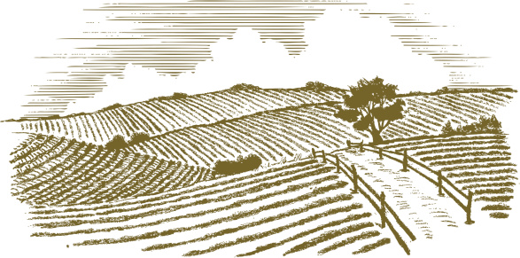 Woodcut style illustration of a country scene.