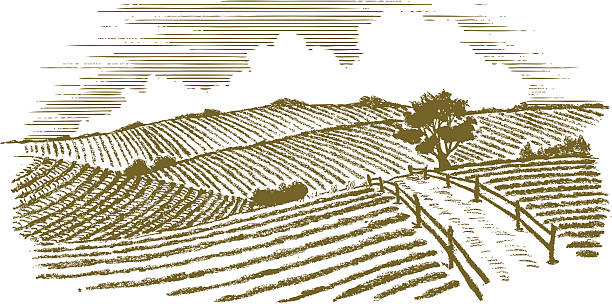Woodcut Countryside Woodcut style illustration of a country scene. agricultural fields stock illustrations