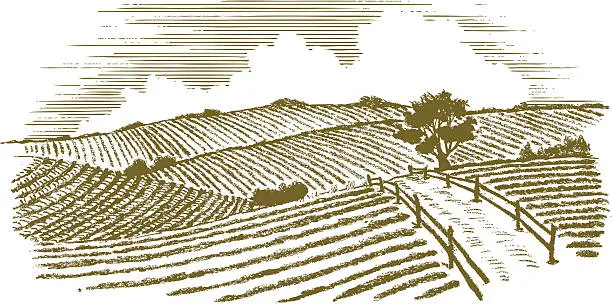 Vector illustration of Woodcut Countryside