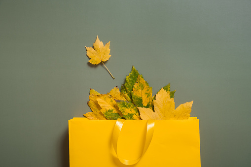 Autumn shopping and sales concept. Flat lay autumn fallen leaves and a shopping bag on a green background.