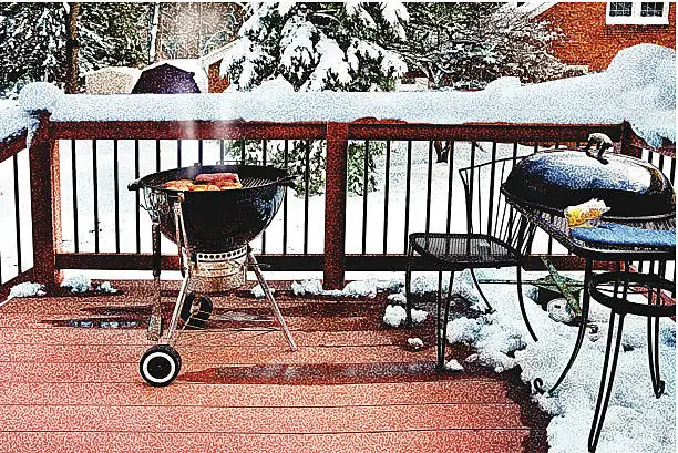 Vector illustration of Grilling and Snow