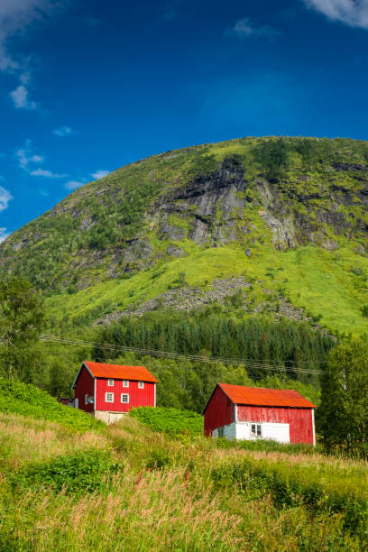 istock Typical red houses in Senja Island,  Norway 1674611653